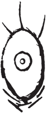 Eye Logo